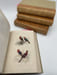 Oeuvres compl&egrave;tes de Buffon. 4 volumes Les Oiseaux. BUFFON 