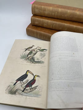 Oeuvres complètes de Buffon. 4 volumes Les Oiseaux. BUFFON 