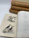 Oeuvres compl&egrave;tes de Buffon. 4 volumes Les Oiseaux. BUFFON 