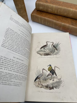 Oeuvres complètes de Buffon. 4 volumes Les Oiseaux. BUFFON 