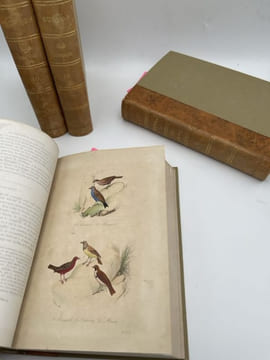 Oeuvres complètes de Buffon. 4 volumes Les Oiseaux. BUFFON 