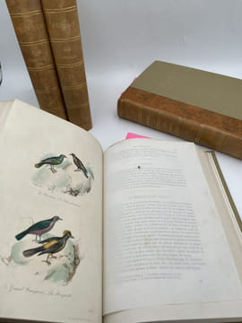Oeuvres complètes de Buffon. 4 volumes Les Oiseaux. BUFFON 