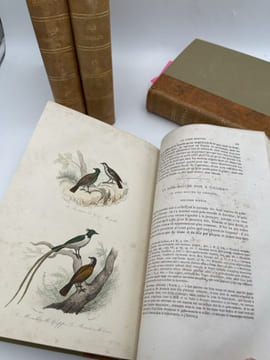 Oeuvres complètes de Buffon. 4 volumes Les Oiseaux. BUFFON 