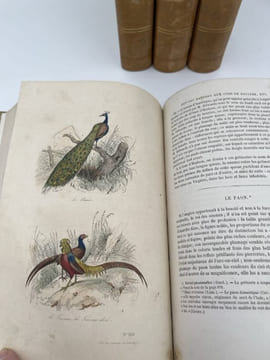 Oeuvres complètes de Buffon. 4 volumes Les Oiseaux. BUFFON 