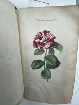 Manuel complet théorique et pratique du jardinier ou l'art de cultiver et de composer toutes sortes de jardins.. BAILLY Charles-François dit Bailly de ...