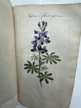 Manuel complet théorique et pratique du jardinier ou l'art de cultiver et de composer toutes sortes de jardins.. BAILLY Charles-François dit Bailly de ...