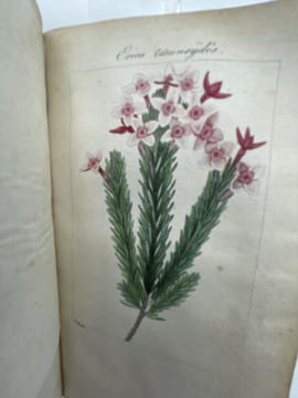 Manuel complet théorique et pratique du jardinier ou l'art de cultiver et de composer toutes sortes de jardins.. BAILLY Charles-François dit Bailly de ...