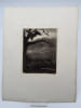 Gravure Eau-forte. La faim. VIALA Eug&egrave;ne 