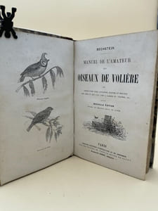 Manuel de l'amateur des oiseaux de volière ou instruction pour connaitre, élever et soigner les oiseaux que l'on aime à garder en volière 