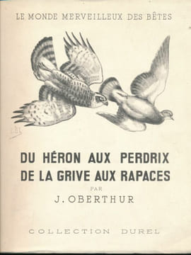 Du héron aux perdrix. De la grive aux rapaces. 2. Passereaux, corvidés, rapaces. OBERTHUR J.