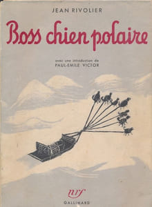 Boss chien polaire