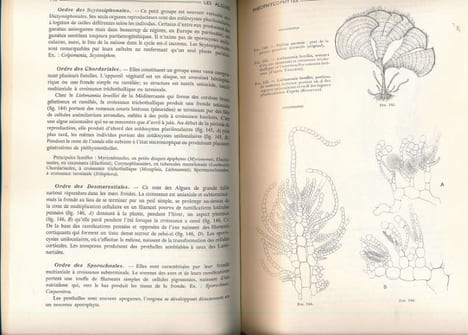 Précis de sciences biologiques : Botanique. Anatomie. Cycles évolutifs. Systématique . COLLECTIF
