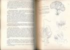 Précis de sciences  biologiques : Botanique. Anatomie. Cycles évolutifs. Systématique . COLLECTIF