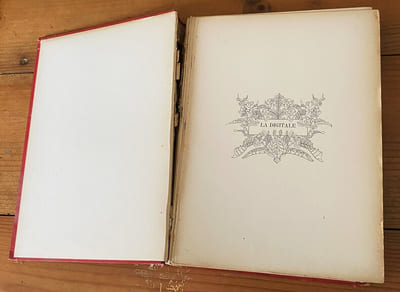 Le livre des fleurs 