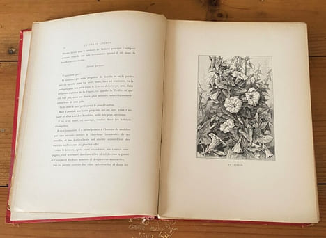 Le livre des fleurs . Paul Cosseret
