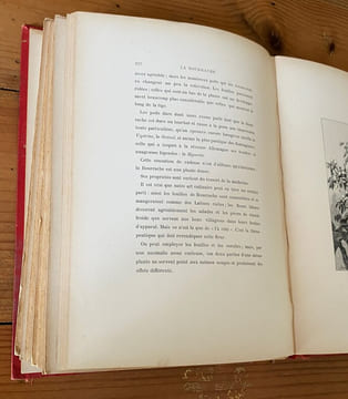Le livre des fleurs . Paul Cosseret