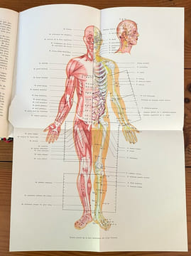 EO Précis d'acupuncture chinoise (. undefined