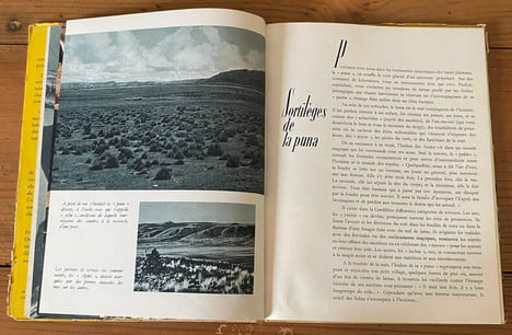 Crépuscule Inka . Jean-Louis Febvre, Jehan Vellard et Daniel Vilfroy