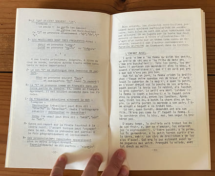 Notre langue maternelle : huit études sur la langue occitane . Per Noste