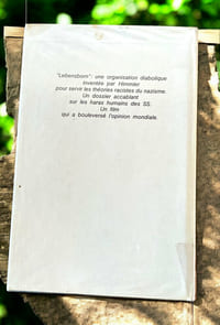 Au nom de la race