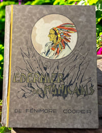 Le dernier des Mohicans 