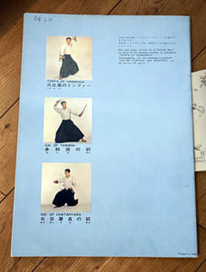 Sai of Tsukenshitahaku -  Series II 