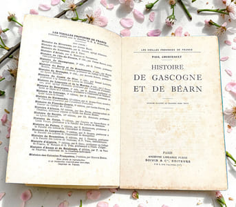 Histoire de Gascogne et de Béarn