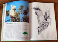 Foliage Birds : Australian birds and Their Favoured Plants