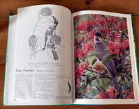 Foliage Birds : Australian birds and Their Favoured Plants