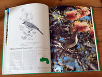 Foliage Birds : Australian birds and Their Favoured Plants