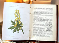 Nouvelle flore coloriée de poche des Alpes et des Pyrénées 