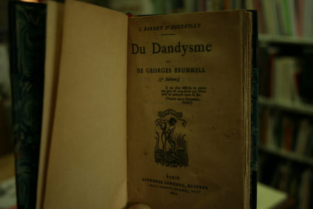 Du Dandysme et de Georges Brummell.