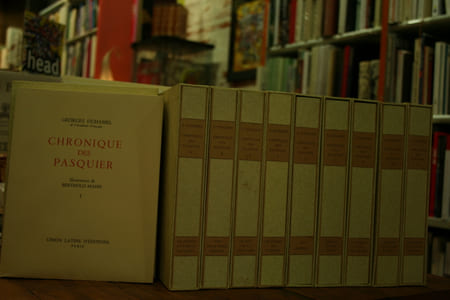 La Chronique des Pasquier (10vol), illustré par Berthold Mahn.
