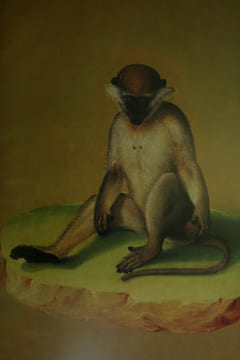 Le Bestiaire de Rodolphe II, illustré de 180 gouaches.. STAUDINGER Manfred