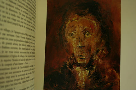 Dostoïevski, Hamlet ou Don Quichotte ?, illustré par Thérèse Jouve.