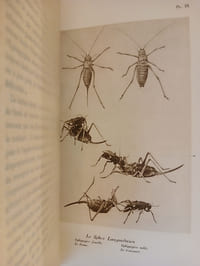 Souvenirs entomologiques, Étude sur l'instinct et les moeurs des insectes (10vol), LEGROS G.-V., La Vie de J.-H. Fabre naturaliste suivie du Répertoire général analytique des Souvenirs entomologiques (1vol).