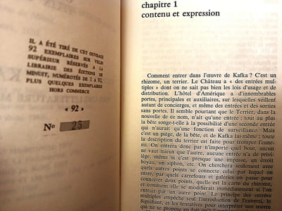 Kafka, Pour une littérature mineure.
