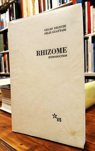 Rhizome, introduction.