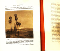 Les Martyrs, illustré par les eaux-fortes de Raoul Serres.