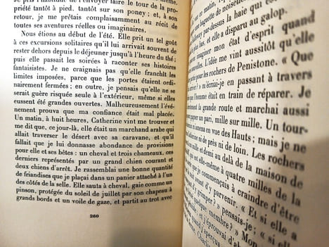 Les Hauts de Hurle-Vent.. BRONTË Émily.