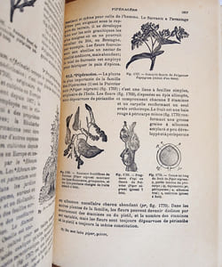 Cours de Botanique (2vol), Phanérogames - Cryptogames, avec plus de 3700 figures.