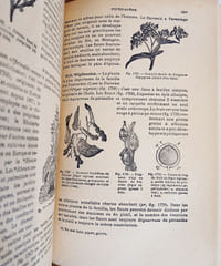Cours de Botanique (2vol), Phanérogames - Cryptogames, avec plus de 3700 figures.