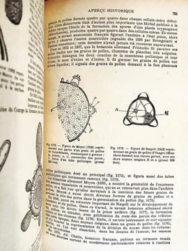 Cours de Botanique (2vol), Phanérogames - Cryptogames, avec plus de 3700 figures.. BONNIER Gaston, LECLERC du SABLON, CERIGHELLI Raoul.