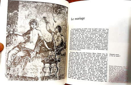 Histoire de la vie privée (5vol).