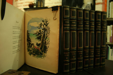 Oeuvres complètes de Paul Verlaine (8vol), illustré par Berthold-Mahn.
