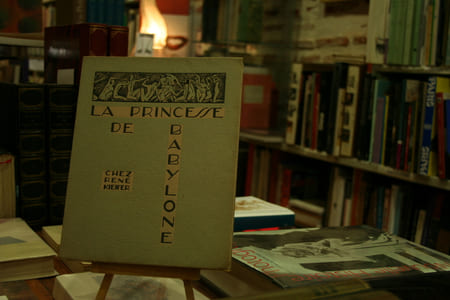 La Princesse de Babylone, illustré par Barte.