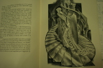Histoires Extraordianires, précédées du poème Le Corbeau, illustré par les eaux-fortes de Paul Lemagny.. POË Edgar-Allan.