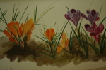 Les Fleurs, Tulipes, Jacinthes, Narcisses.. BIBESCO Élizabeth - DAVIDS Arlette.