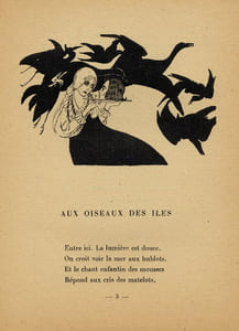 Aux Oiseaux des Iles
