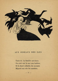 Aux Oiseaux des Iles
